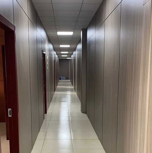 โครงการบูรณาการการแพทย์และการพยาบาลของ Hongze Lake